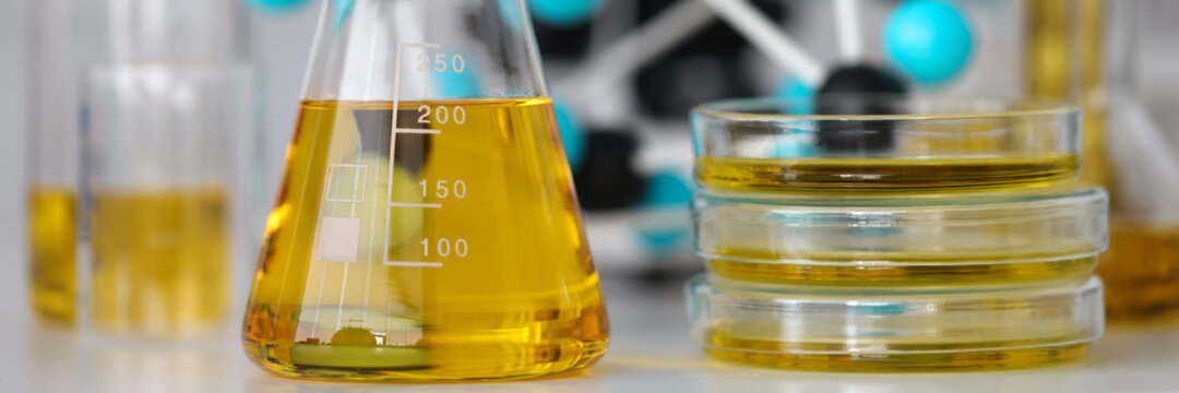 What are the types of biodiesel