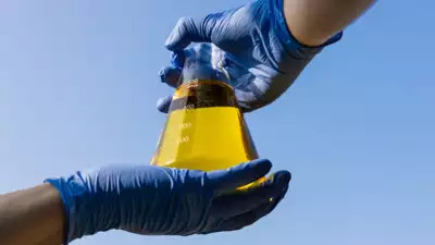 What are the types of biodiesel