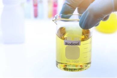 How to use biodiesel?